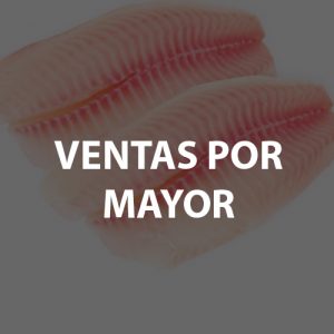 MAYOR